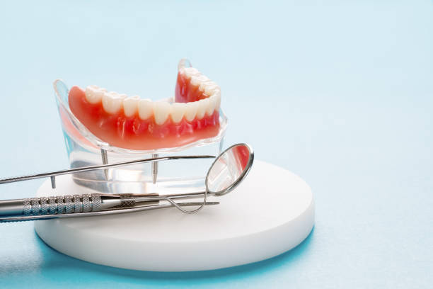 Best Dental Exams and Cleanings  in Portland, TN